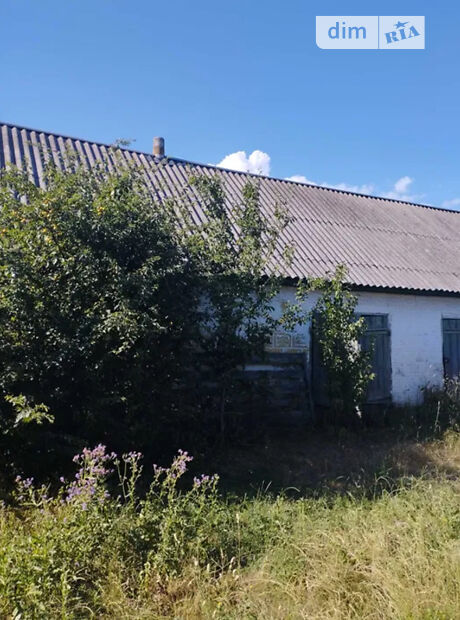 продажа Шевченка Савинцы (Миргород) 