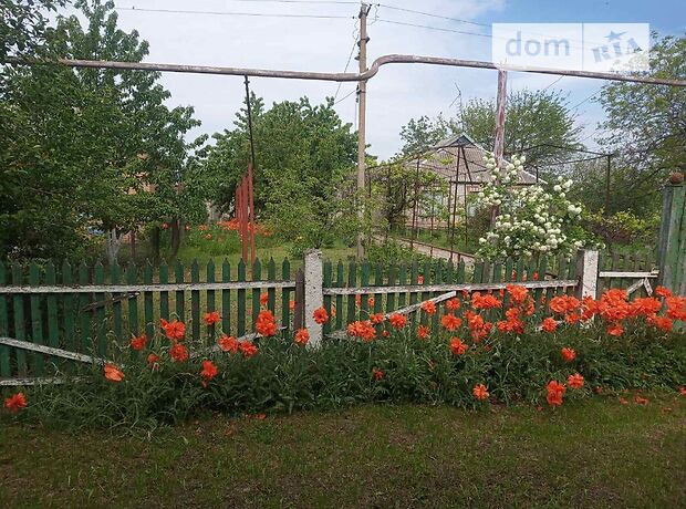 продажа Каштанова Софиевка Софиевка