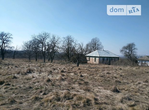 продажа Тывров Сутиски