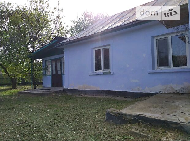 продажа Тывров Сутиски