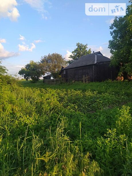 продажа шкільна Васильков Кожуховка