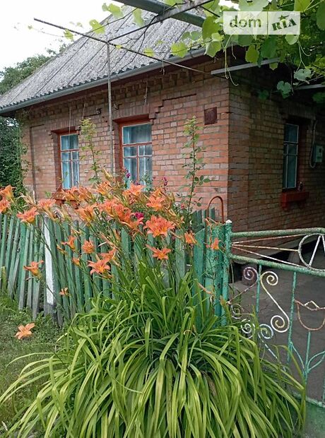 продажа Васильковцы