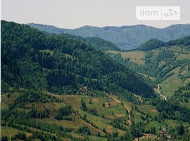 продажа Центральна Великий Березный Ужок