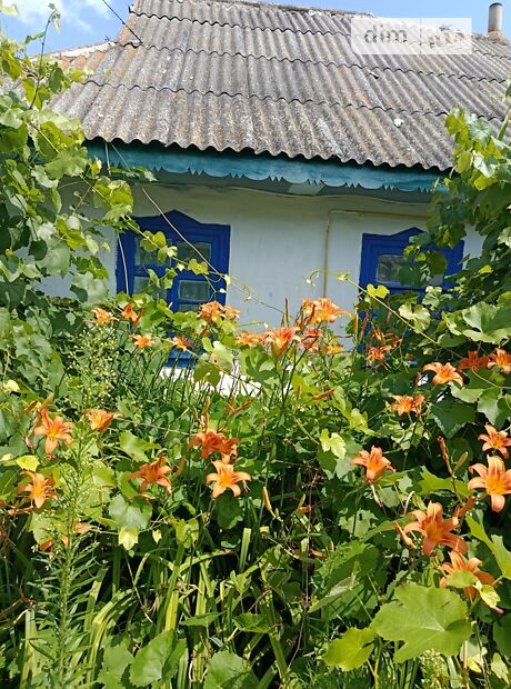 продажа Шевченко улица Юзвин 