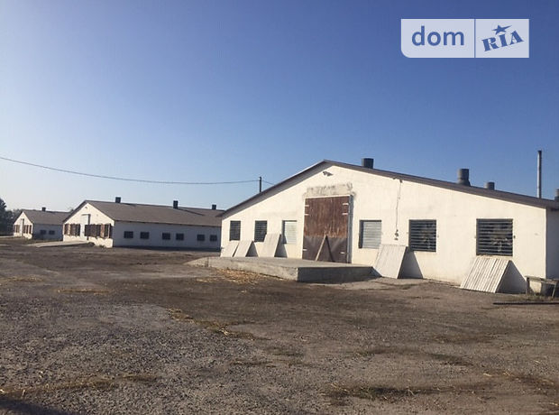 продажа Червоноармейск Червоноармейск