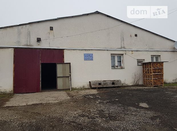 продажа Партизанська Виноградов