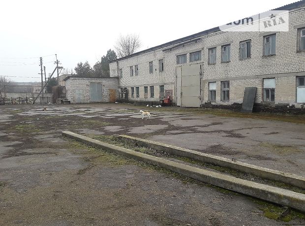 продажа Московская 53 Васильевка Васильевка