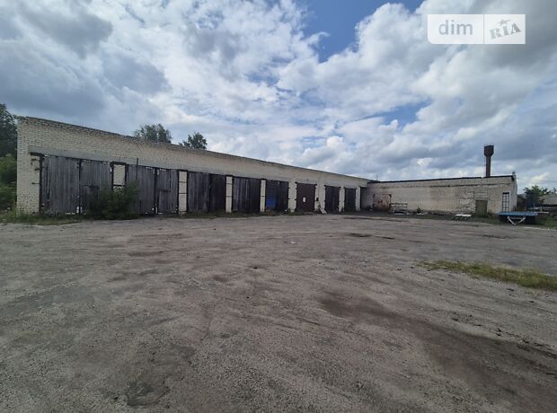 продажа Свободы (Красноармейская) улица Любешов Любешов