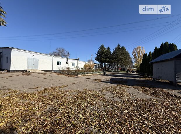 продажа Игоря Гаврилюка (Ленина) улица Томашполь Томашполь