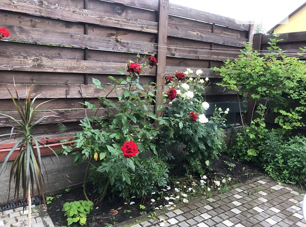 продажа Вишневая улица Буча Буча