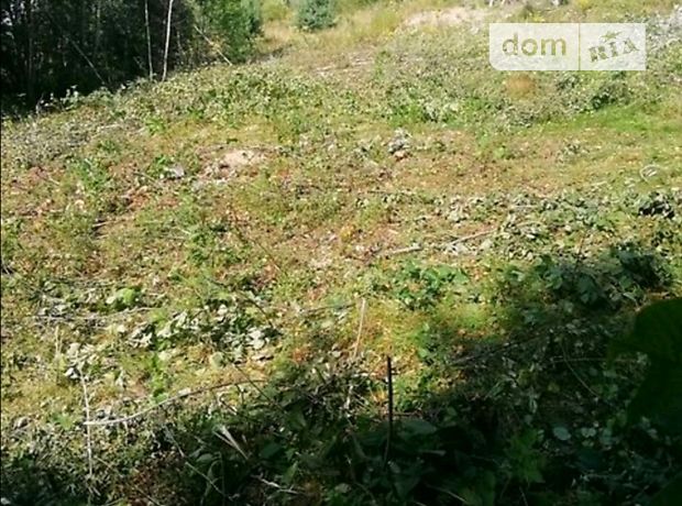 продажа Борислав Сходница