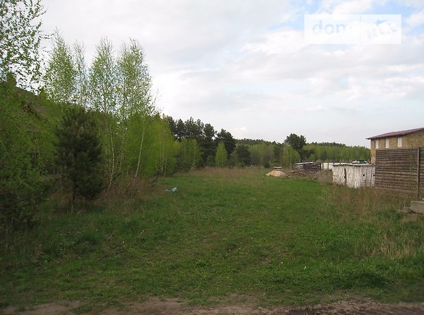 продажа лисова Бородянка Бабинцы
