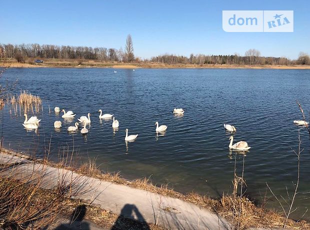продажа Бородянка Загальцы