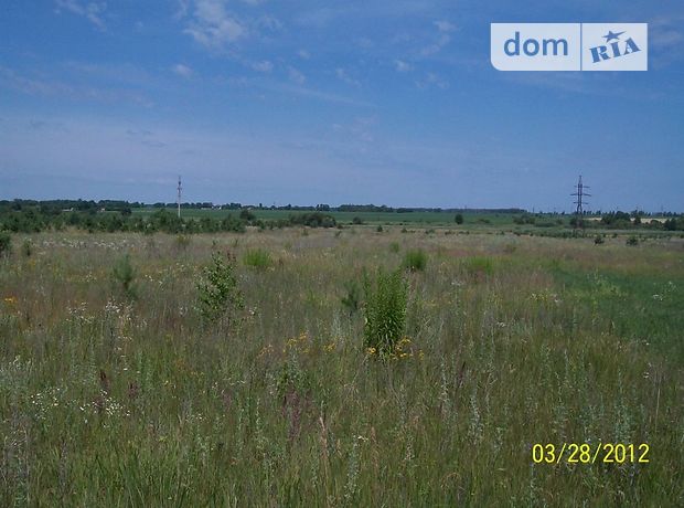 продажа Брусилов Брусилов