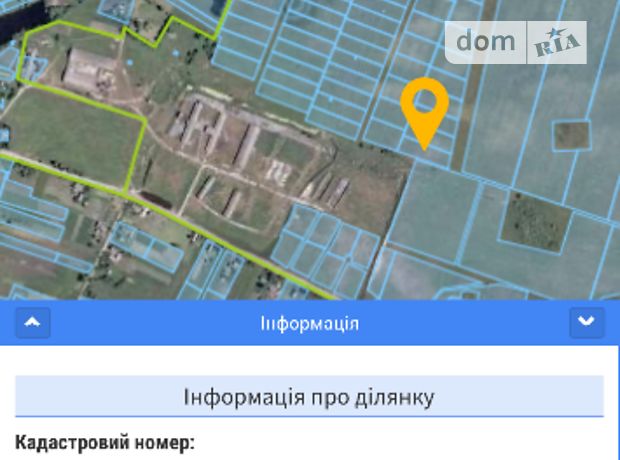 продажа Польова 10 Черняхов Вишполь
