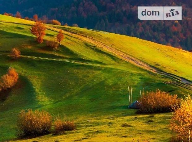 продажа Квіткова 18 Черняхов
