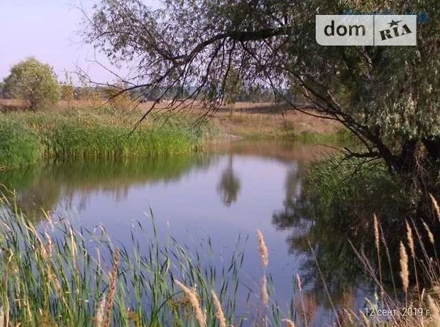 продажа Бащенка Кагарлык Бендюговка
