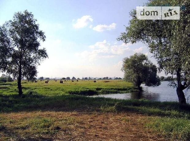 продажа Бащенка Кагарлык Бендюговка
