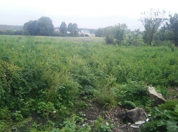 продажа Вишнева 17 Калиновка Сальник