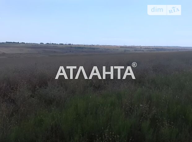 продажа Коминтерновское Червоная Нива