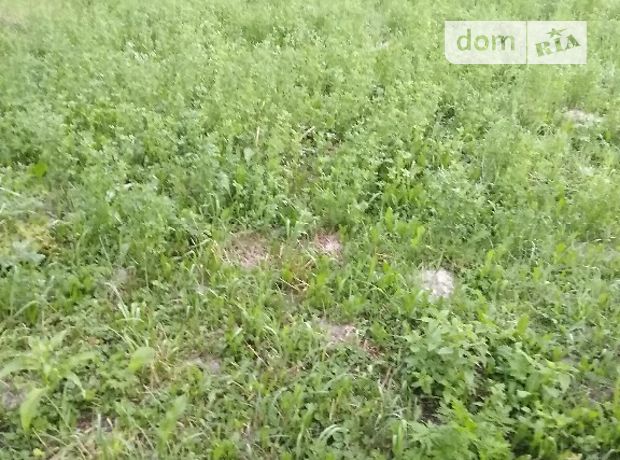 продажа Литин Лукашовка