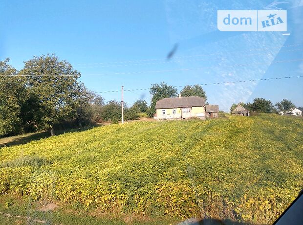 продажа Локачи Крухиничи