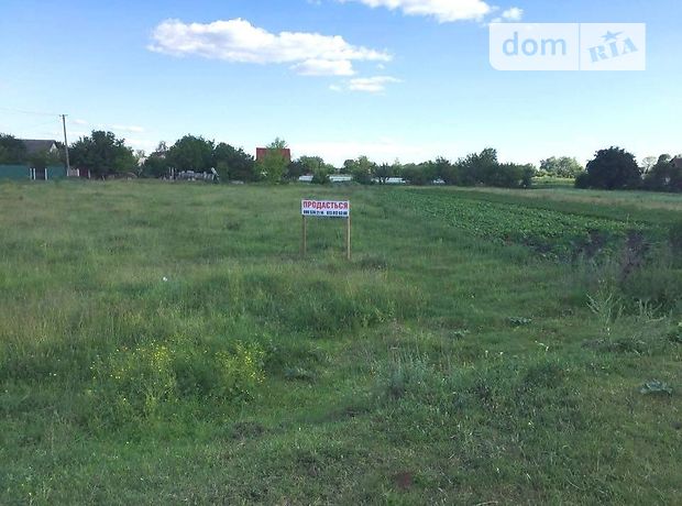 продажа с. Майстров Новоград-Волынский Майстров