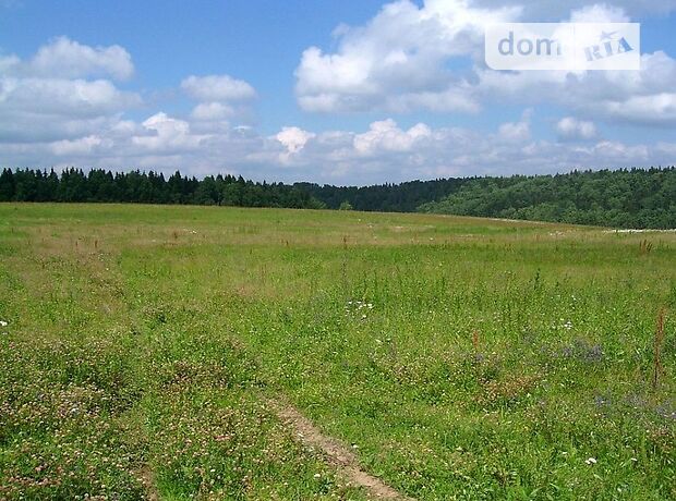 продажа Петриковка Елизаветовка