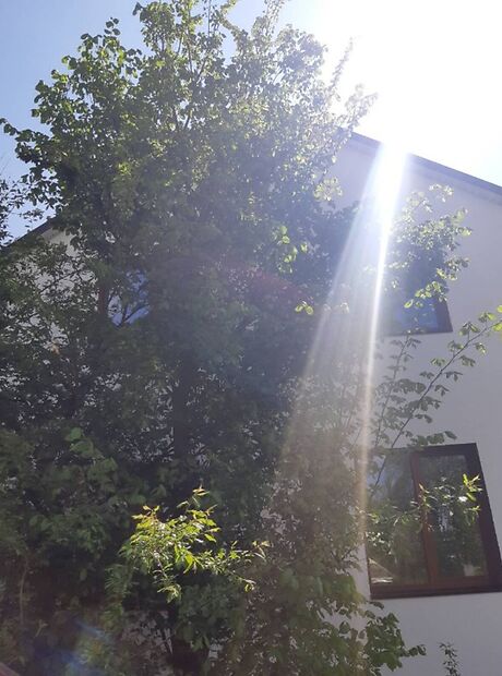 продажа Лісна Петриковка Шульговка