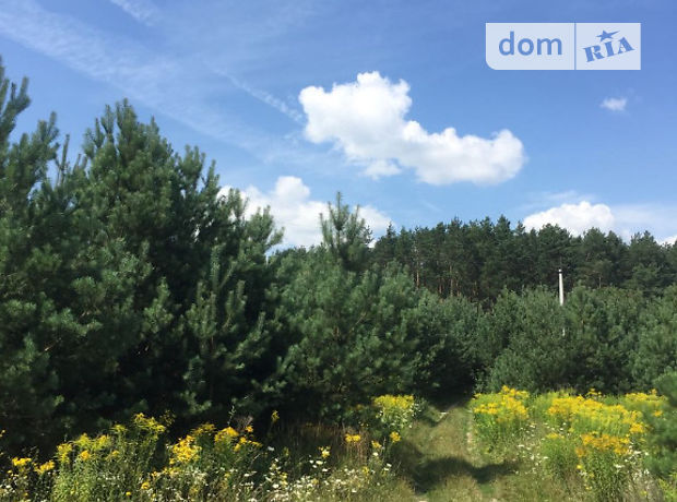 продажа Рожище Копачовка