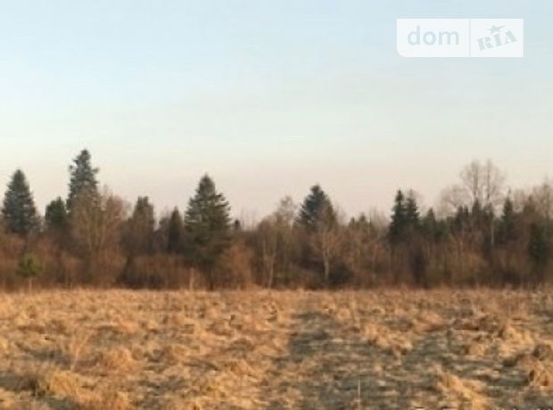 продажа Рожнятов Красное