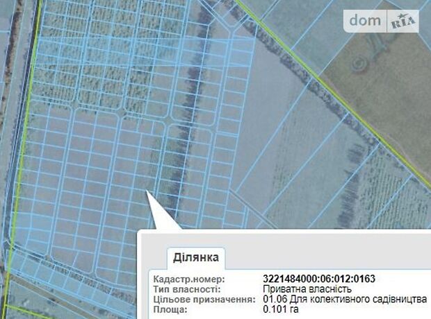 продажа Васильков Крушинка