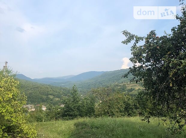 продажа Великий Березный Черноголова
