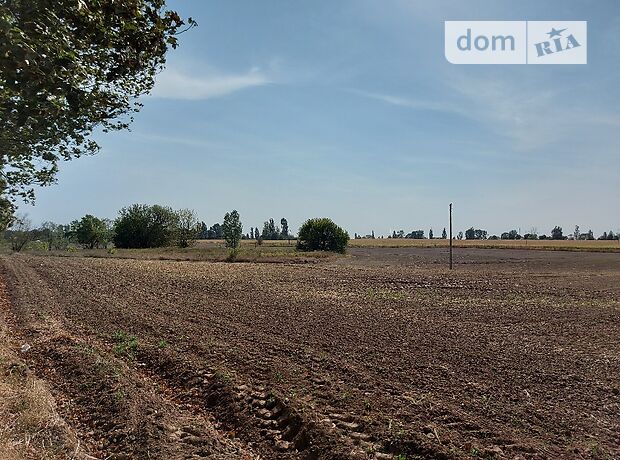 продажа дружбы Борисполь Борисполь