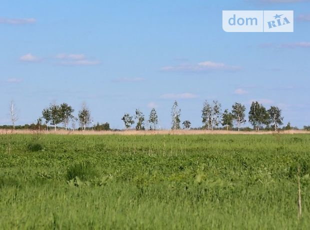 продажа Борисполь Рогозов