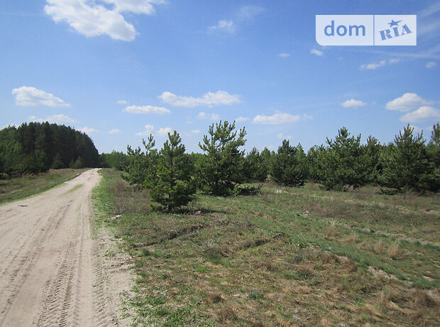 продажа Макаров Боровка