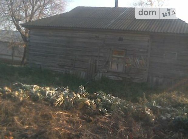 продажа Репки Голубичи