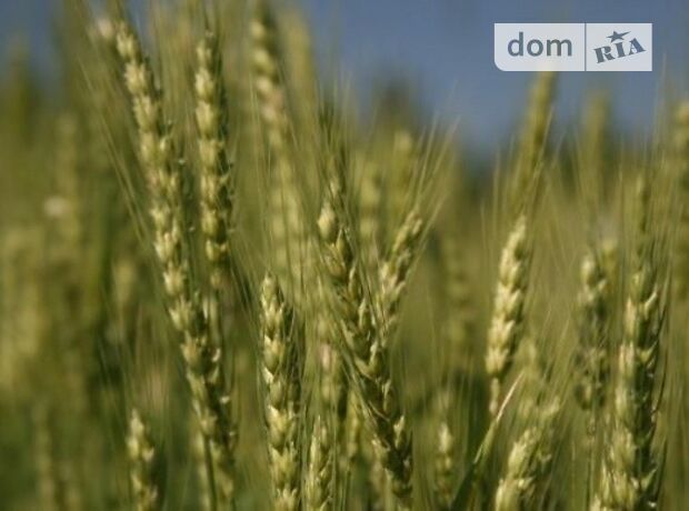продажа Соленое Сурско-Михайловка