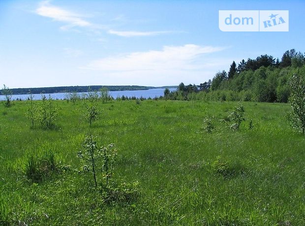 продажа Васильевка Каменское