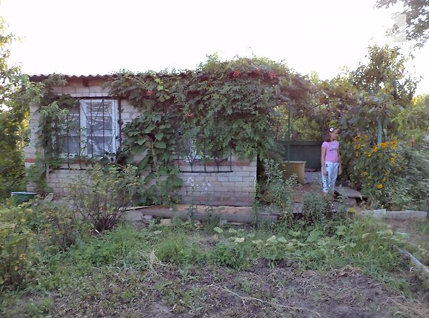 Дача в запорожье фото Дача в запорожье фото