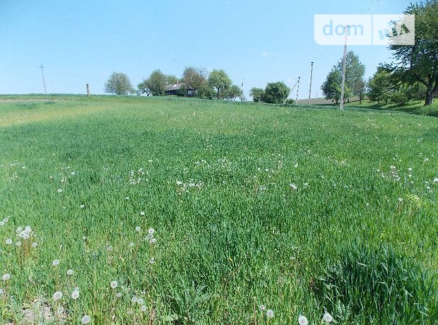Продажа участка под жилую застройку, Ровно, c. Белая Криница, Грушевского Академика улица Продажа участка под жилую застройку, Ровно, c. Белая Криница, Грушевского Академика улица
