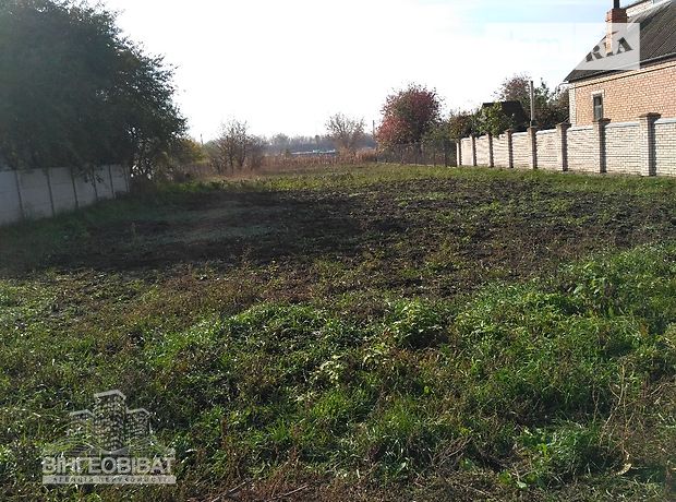 Земля под жилую застройку в селе Десна, площадь 10 соток фото 1 Земля под жилую застройку в селе Десна, площадь 10 соток фото 1