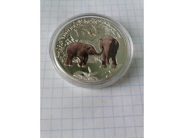 1000 Квача. Слон. 2014.