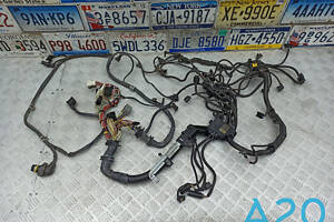 12517646742 - Б/У Электропроводка двигателя на BMW X5 (E70) xDrive 50 i