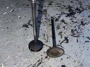 132013562R Клапан впускной 0.9TCE 12V Renault Sandero 13-, Nissan Micra 17-, Smart Fortwo 14- (13201-3562R, 13201-3562R,