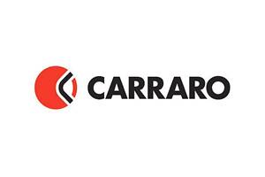 133070 Клапан Carraro