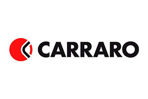 140126 Гальмівний поршень Carraro