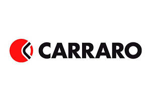 396308 Комплект дисков трансмиссии Carraro