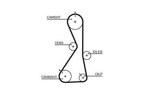 5481XS (8597-15481) Ремінь ГРМ GATES XS