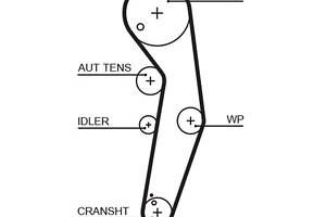 5569XS (8597-15569) Ремінь ГРМ GATES XS